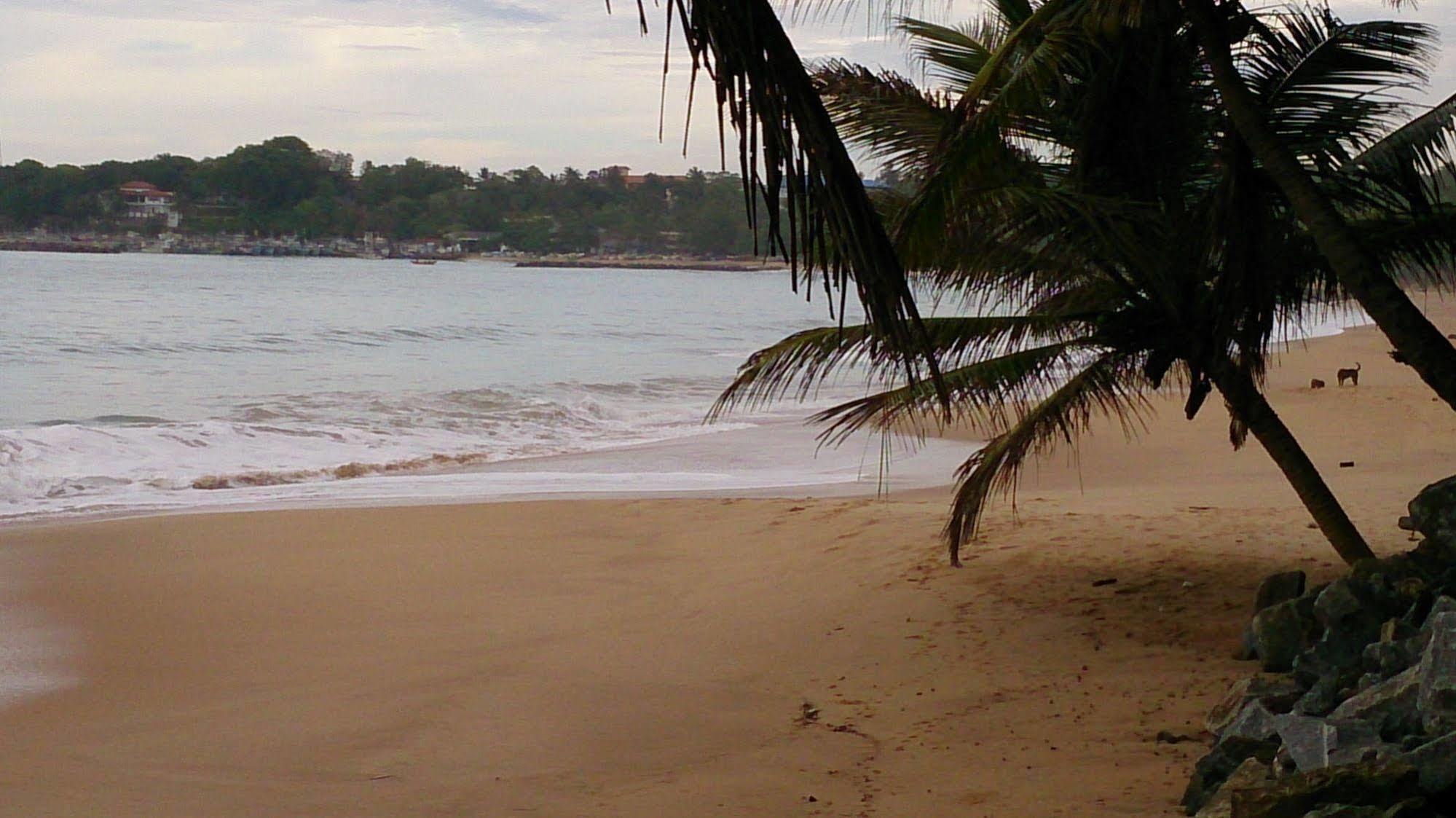 Gayana Guest House Kanattegoda Exterior foto
